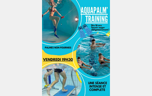 Aqua PALM' TRAINING dès 16 ans
Savoir nager obligatoire.
Sport aquatique qui allie les bienfaits de l'activité nage à l’aide de petites palmes personnelles (non fournies) et des exercices de Cross Training.
Cette activité complète et intense se déroule en deux parties :
• Une partie nage avec petites palmes pour travailler l'ensemble du corps et l'endurance.
• Une seconde partie Cross Training décomposée en différents ateliers combinant des mouvements de renforcement musculaire ciblés et des exercices pour développer ses fonctions cardio respiratoires.
La séance d'AquaPALM' TRAINING est réservé à un public en bonne condition physique.